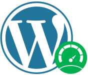Ein Symbolbild WordPress Hosting Performance Edition